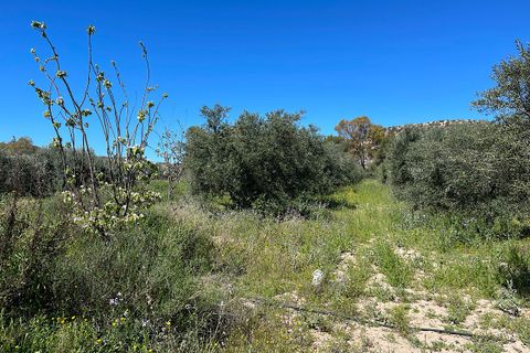 Terra a Sorbas, Almeria, Sorbas - € 85.000 | Ref: SOR127 - foto 15