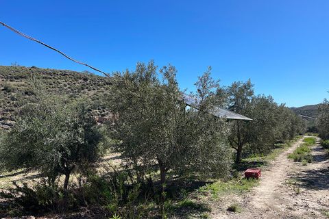 Terra a Sorbas, Almeria, Sorbas - € 85.000 | Ref: SOR127 - foto 19