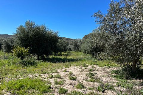 Terra a Sorbas, Almeria, Sorbas - € 85.000 | Ref: SOR127 - foto 22