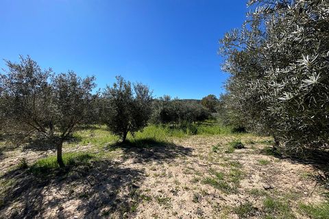 Terra a Sorbas, Almeria, Sorbas - € 85.000 | Ref: SOR127 - foto 25