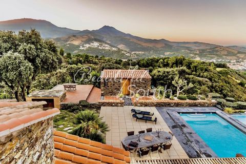 Villa a Banyuls-sur-Mer, Pyrenees-Orientales, Banyuls-sur-Mer - € 2.990.000 | Ref: SV464 - foto 4