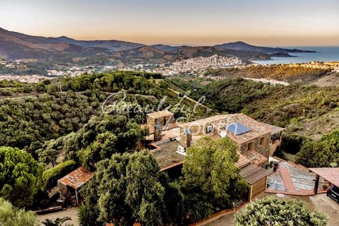 Villa a Banyuls-sur-Mer, Pyrenees-Orientales, Banyuls-sur-Mer - € 2.990.000 | Ref: SV464 - foto 15