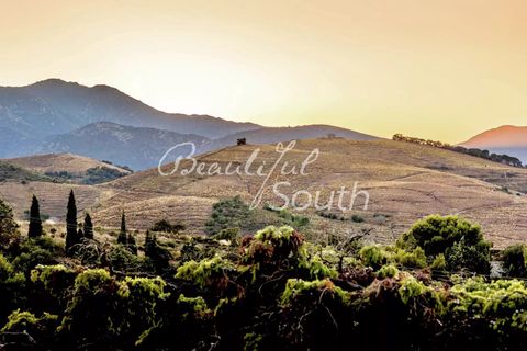 Villa a Banyuls-sur-Mer, Pyrenees-Orientales, Banyuls-sur-Mer - € 2.990.000 | Ref: SV464 - foto 17