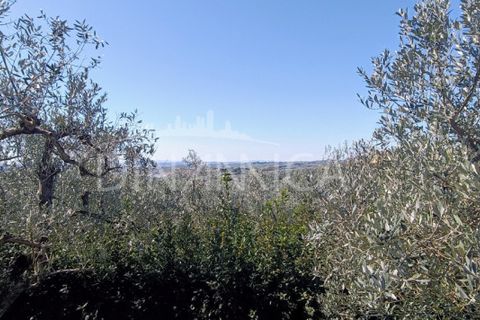 Landejendom i Vinci, Florence, Vinci - € 890.000 | Ref: 1003-257C - foto 2