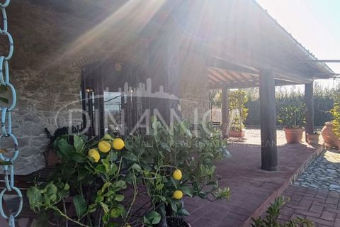 Landejendom i Vinci, Florence, Vinci - € 890.000 | Ref: 1003-257C - foto 12