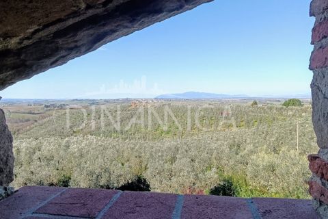 Landejendom i Vinci, Florence, Vinci - € 890.000 | Ref: 1003-257C - foto 38