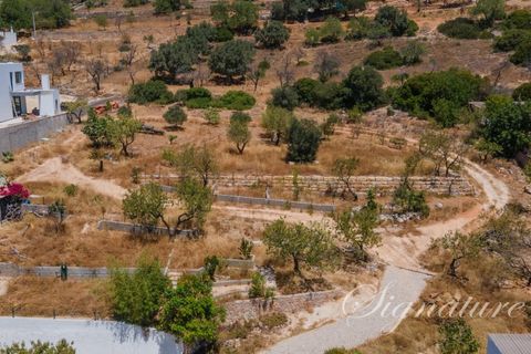 Helårsgrund i Santa Barbara de Nexe, Faro, Santa Barbara de Nexe - € 495.000 | Ref: so-1555 - foto 2