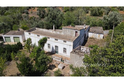 Farm i Santa Barbara de Nexe, Faro, Santa Barbara de Nexe - € 640.000 | Ref: SQ-1879 - foto 1