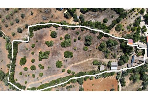 Farm i Santa Barbara de Nexe, Faro, Santa Barbara de Nexe - € 640.000 | Ref: SQ-1879 - foto 2