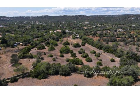 Farm i Santa Barbara de Nexe, Faro, Santa Barbara de Nexe - € 640.000 | Ref: SQ-1879 - foto 3