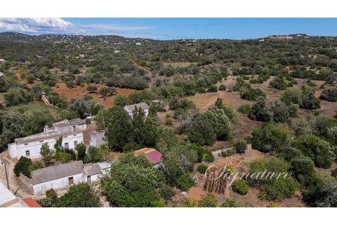 Farm i Santa Barbara de Nexe, Faro, Santa Barbara de Nexe - € 640.000 | Ref: SQ-1879 - foto 5