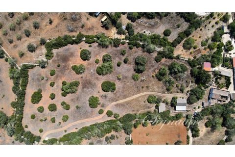 Farm i Santa Barbara de Nexe, Faro, Santa Barbara de Nexe - € 640.000 | Ref: SQ-1879 - foto 8