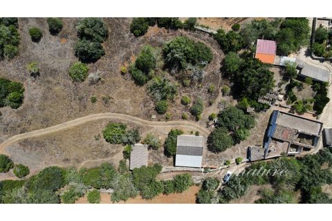 Farm i Santa Barbara de Nexe, Faro, Santa Barbara de Nexe - € 640.000 | Ref: SQ-1879 - foto 9