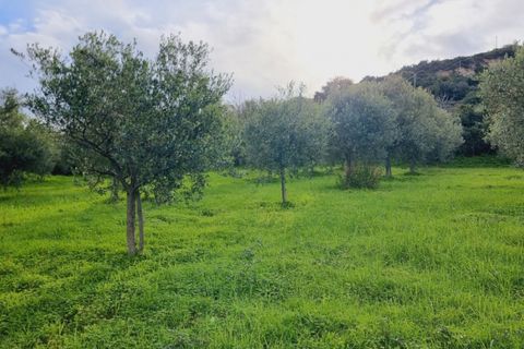 Villa a Pace del Mela, Messina, Pace del Mela - € 310.000 | Ref: VSF001 - foto 20