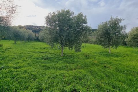 Villa a Pace del Mela, Messina, Pace del Mela - € 310.000 | Ref: VSF001 - foto 21