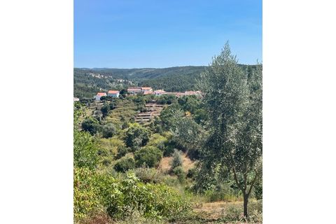 Helårsgrund i Abrantes, Santarem, Abrantes - € 23.500 | Ref: 001.014.035 - foto 1