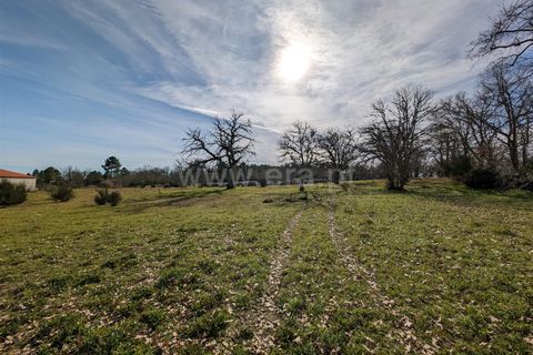 Helårsgrund i Guarda, Guarda, Guarda - € 45.000 | Ref: 046240313 - foto 2
