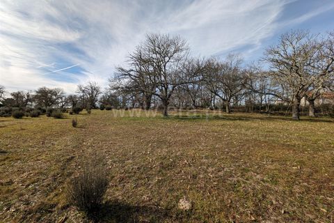 Helårsgrund i Guarda, Guarda, Guarda - € 45.000 | Ref: 046240313 - foto 3