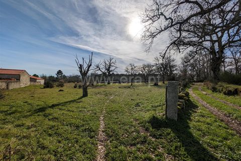 Helårsgrund i Guarda, Guarda, Guarda - € 45.000 | Ref: 046240313 - foto 4