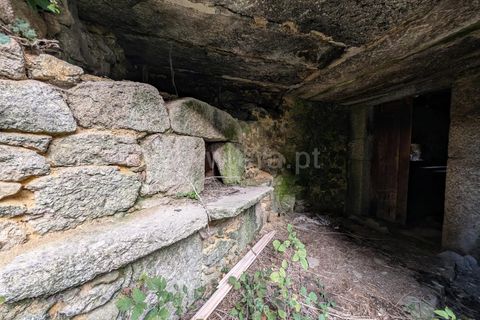 Byhus i Guarda, Guarda, Guarda - € 95.000 | Ref: 046250029 - foto 5