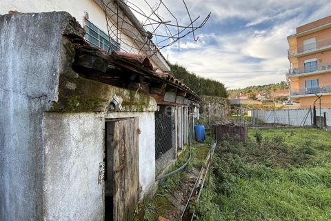 Helårsgrund i Guarda, Guarda, Guarda - € 22.500 | Ref: 046250049 - foto 4