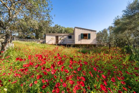 Landejendom i Sineu, Mallorca, Sineu - € 2.395.000 | Ref: SIN53088BIN5 - foto 21