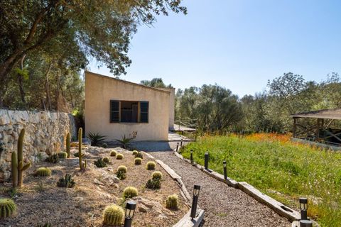 Landejendom i Sineu, Mallorca, Sineu - € 2.395.000 | Ref: SIN53088BIN5 - foto 22