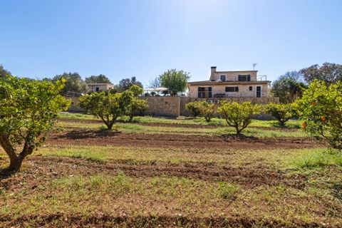 Landejendom i Sineu, Mallorca, Sineu - € 2.395.000 | Ref: SIN53088BIN5 - foto 26