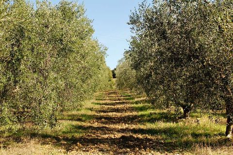 Farm hus i Scansano, Grosseto, Scansano - € 630.000 | Ref: ID1-481842 - foto 20