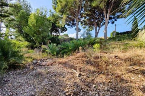 Terra a Alfaz del Pi, Alicante, Alfaz del Pi - € 210.000 | Ref: 10078 - foto 3