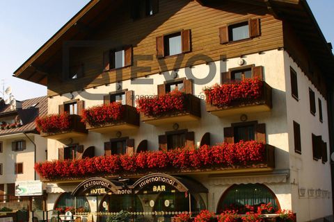 Erhvervsejendom i Tarvisio, Udine, Tarvisio - € 2.100.000 | Ref: 12 - foto 2