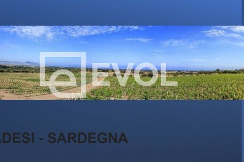 Helårsgrund i Badesi, Olbia Tempio, Badesi - € 1.800.000 | Ref: 97 - foto 1