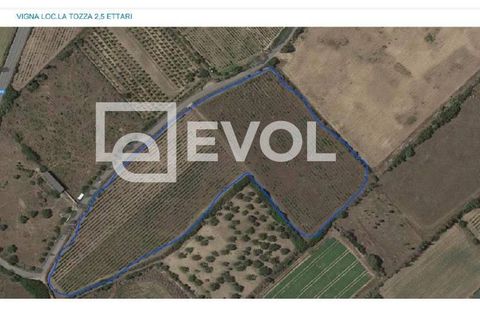 Helårsgrund i Badesi, Olbia Tempio, Badesi - € 1.800.000 | Ref: 97 - foto 3