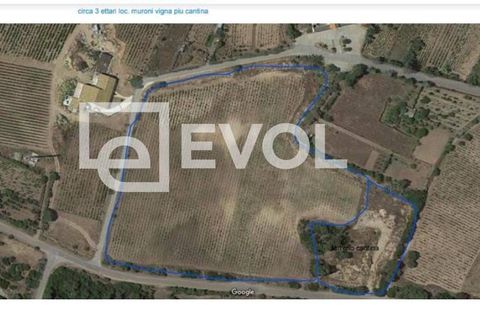Helårsgrund i Badesi, Olbia Tempio, Badesi - € 1.800.000 | Ref: 97 - foto 4