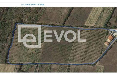 Helårsgrund i Badesi, Olbia Tempio, Badesi - € 1.800.000 | Ref: 97 - foto 5