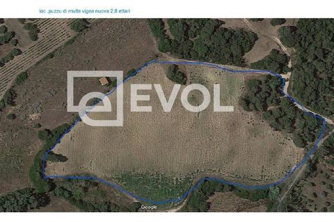 Helårsgrund i Badesi, Olbia Tempio, Badesi - € 1.800.000 | Ref: 97 - foto 6