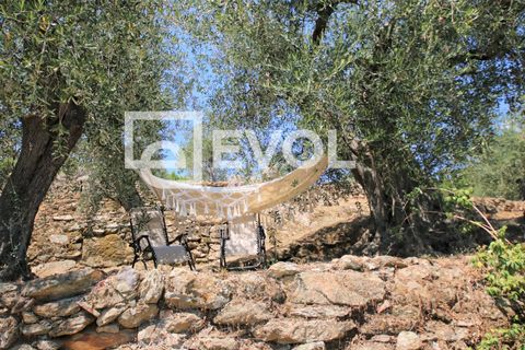 Farm i Pisa, Pisa, Pisa - € 2.000.000 | Ref: 126 - foto 1