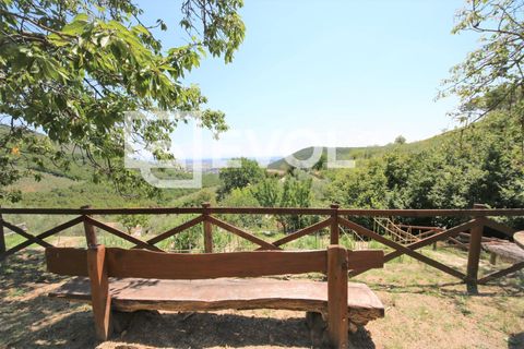 Farm i Pisa, Pisa, Pisa - € 2.000.000 | Ref: 126 - foto 2