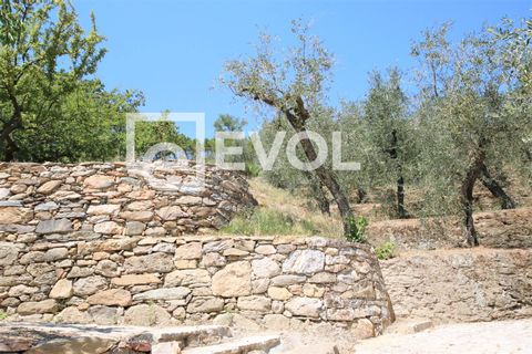 Farm i Pisa, Pisa, Pisa - € 2.000.000 | Ref: 126 - foto 4