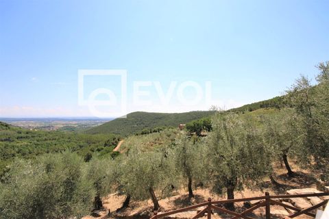Farm i Pisa, Pisa, Pisa - € 2.000.000 | Ref: 126 - foto 6