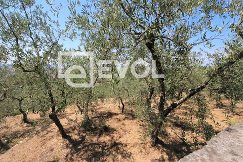 Farm i Pisa, Pisa, Pisa - € 2.000.000 | Ref: 126 - foto 7