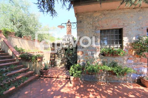 Farm i Pisa, Pisa, Pisa - € 2.000.000 | Ref: 126 - foto 10