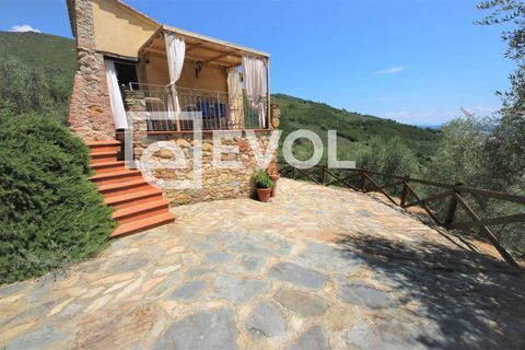 Farm i Pisa, Pisa, Pisa - € 2.000.000 | Ref: 126 - foto 12