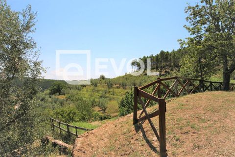 Farm i Pisa, Pisa, Pisa - € 2.000.000 | Ref: 126 - foto 13