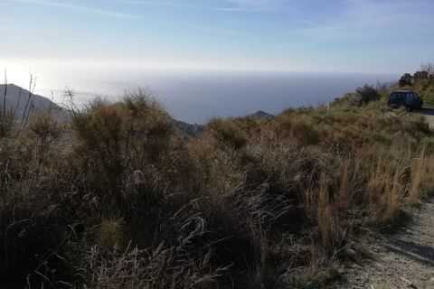 Terra a Nerja, Malaga - foto 5