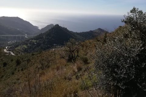 Terra a Nerja, Malaga, Nerja - € 149.000 | Ref: R3384019 - foto 10