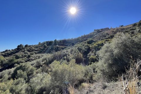 Terra a Frigiliana, Malaga - foto 3