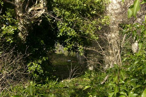 Landejendom i Riccia, Campobasso, Riccia - € 145.000 | Ref: AA27254 - foto 14