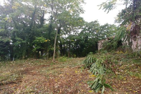 Landejendom i Riccia, Campobasso, Riccia - € 145.000 | Ref: AA27254 - foto 26