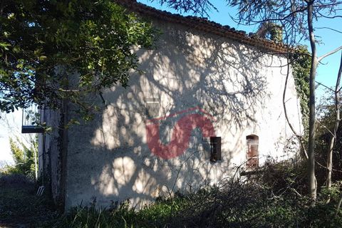 Landejendom i Riccia, Campobasso, Riccia - € 145.000 | Ref: AA27254 - foto 41